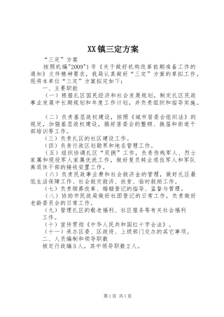 XX镇三定实施方案 