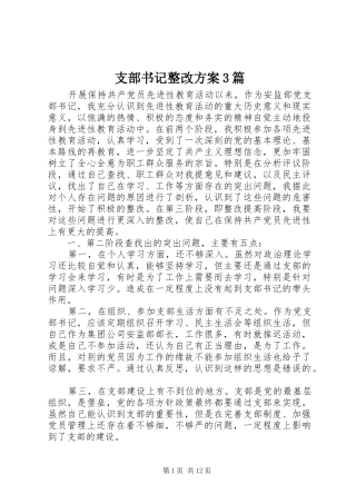支部书记整改实施方案3篇