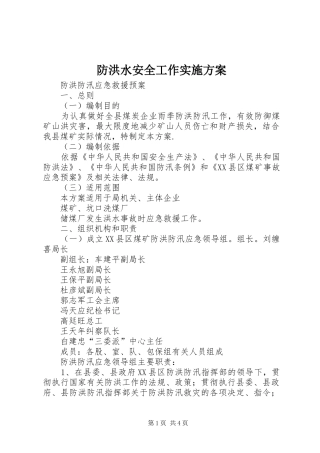 防洪水安全工作方案 