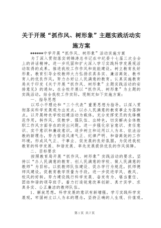 关于开展“抓作风、树形象”主题实践活动方案 