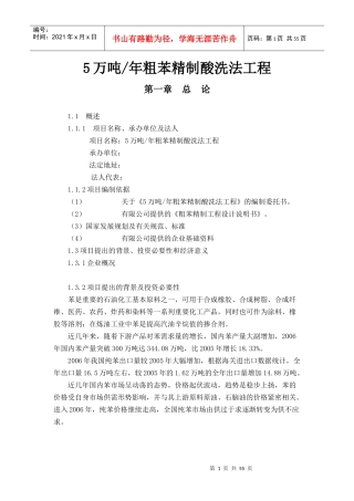 粗苯精制酸洗法工程可行性研究报告