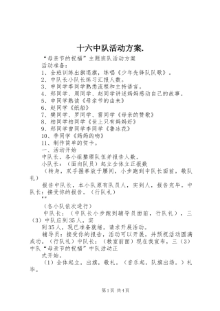 十六中队活动实施方案. 