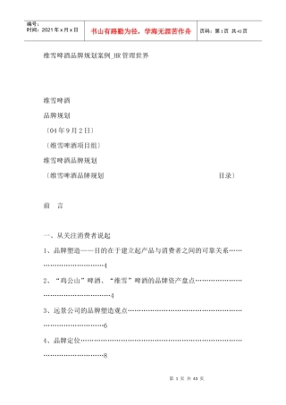 维雪啤酒品牌规划案例--HR管理世界