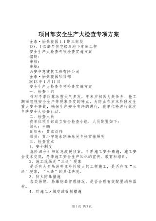 项目部安全生产大检查专项实施方案 