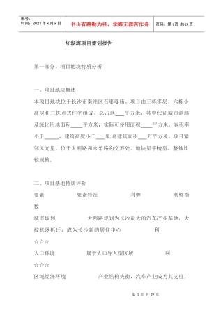 红湖湾项目策划报告(1)
