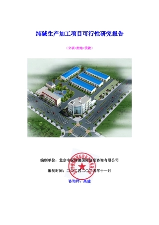 纯碱生产加工项目可行性研究报告
