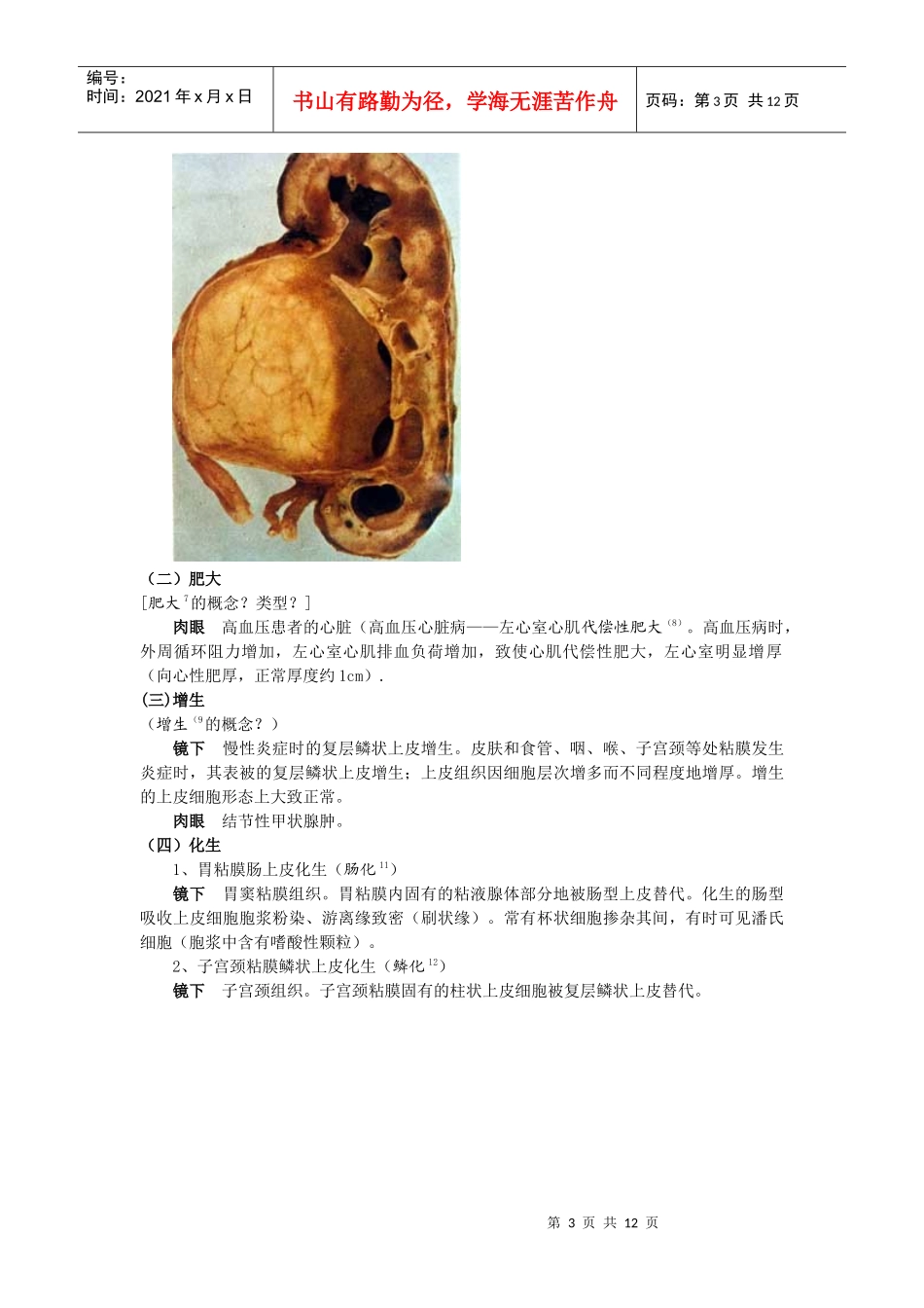 细胞、组织的适应与损伤_第3页