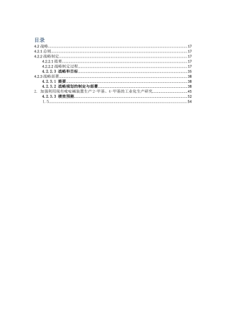 红太阳战略报告