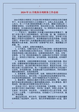 2024年11月税务分局财务工作总结
