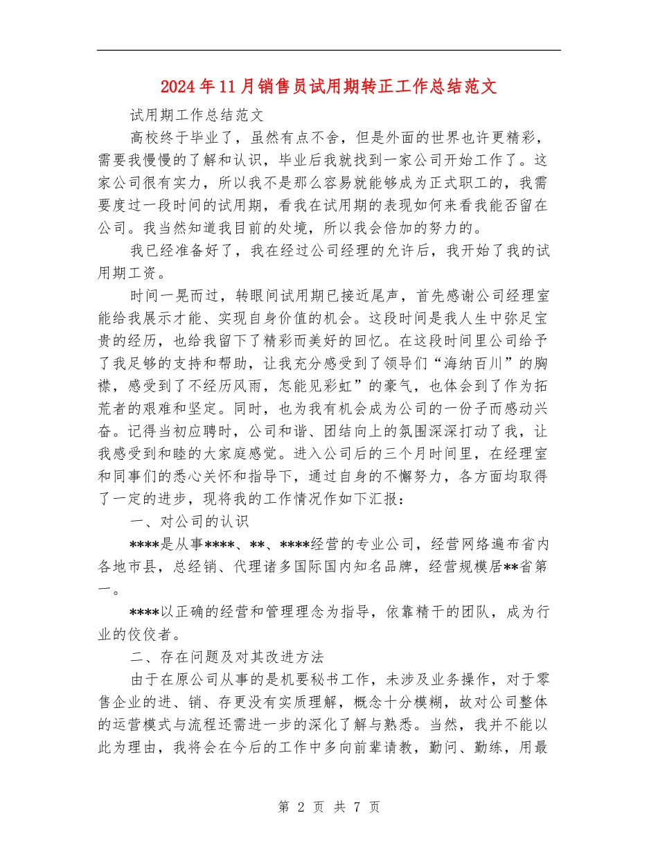 2024年11月销售员试用期转正工作总结范文_第2页