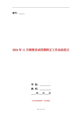 2024年11月销售员试用期转正工作总结范文