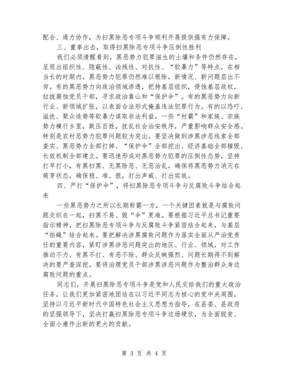 扫黑除恶专项斗争动员会上的讲话_第3页
