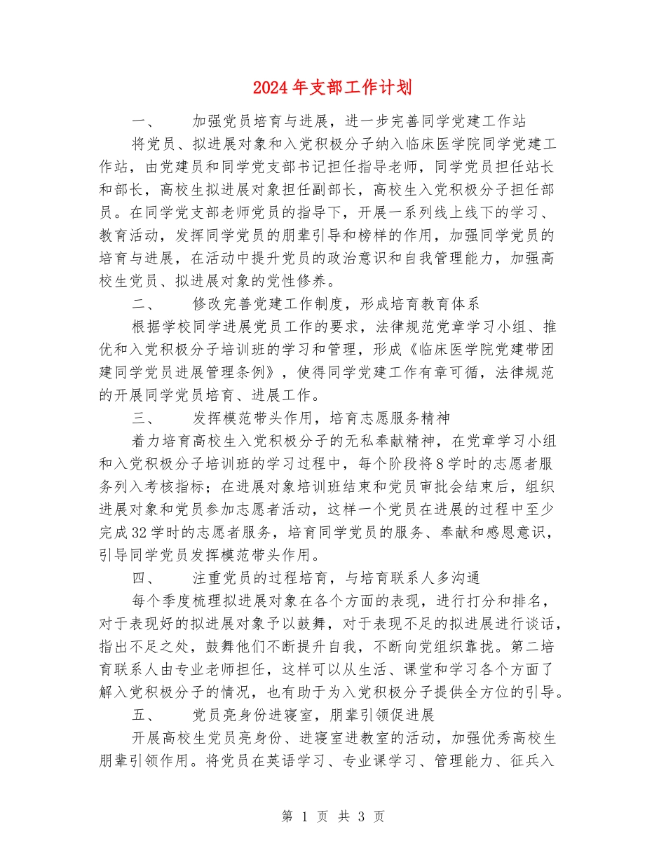 2024年支部工作计划_第1页
