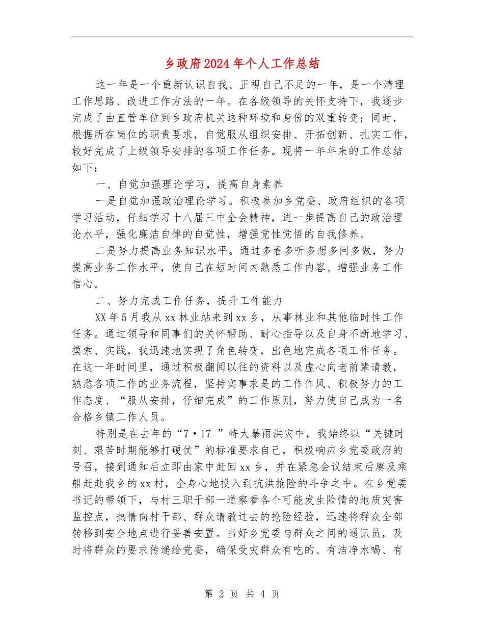 乡政府2024年个人工作总结_第2页