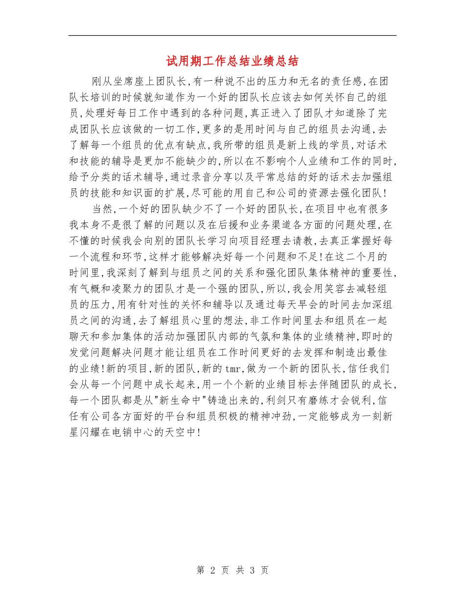 试用期工作总结业绩总结_第2页