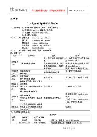 组织学与胚胎学重点