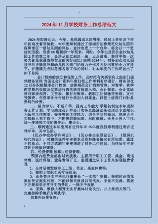 2024年11月学校财务工作总结范文