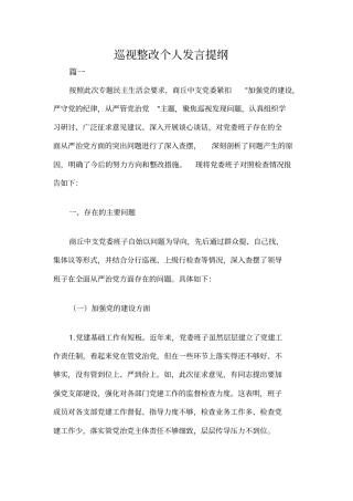 巡视整改个人发言提纲三篇
