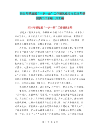 2024年镇发展“一乡一品”工作情况总结与2024年镇团委工作总结-汇编