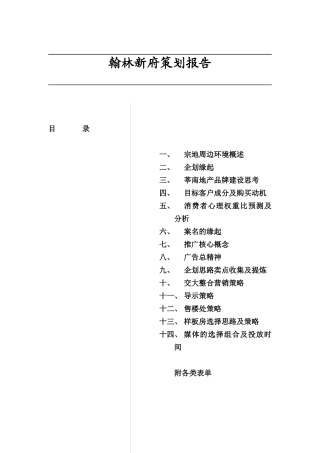 翰林新府策划报告