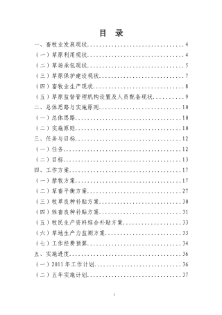 自治区实施方案可行性研究报告