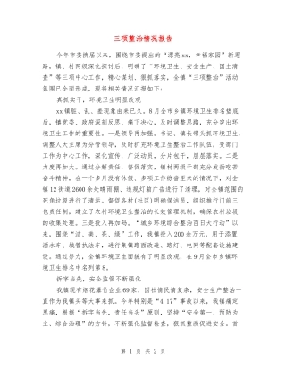 三项整治情况报告