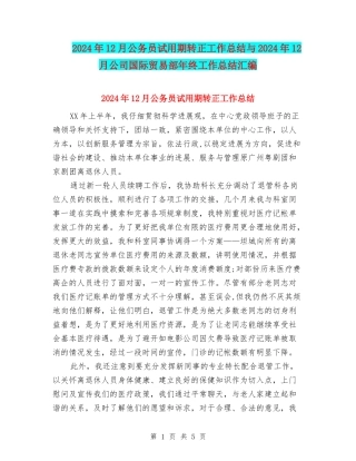 2024年12月公务员试用期转正工作总结与2024年12月公司国际贸易部年终工作总结汇编