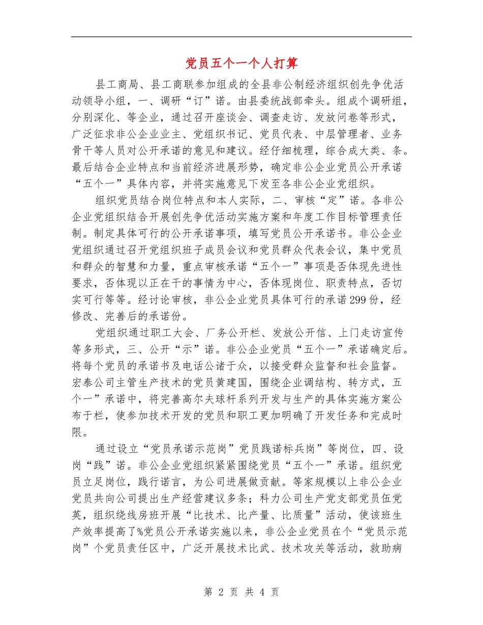 党员五个一个人打算_第2页