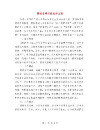 名牌打假安排方案