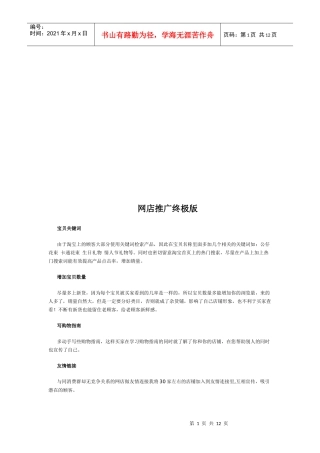网店推广终极版样本