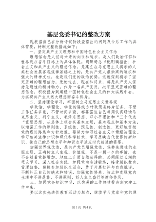 基层党委书记的整改实施方案 