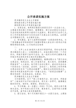 公开承诺方案 