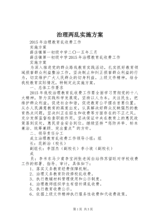 治理两乱方案 