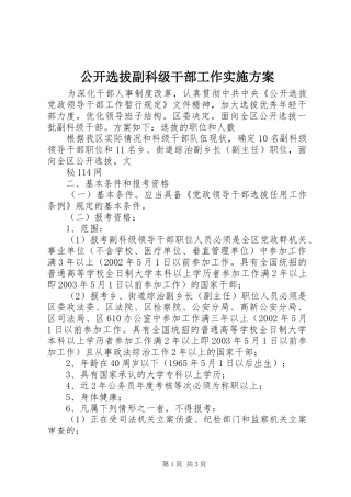 公开选拔副科级干部工作方案 
