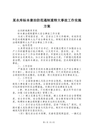 某水库标本兼治防范遏制重特大事故工作方案 