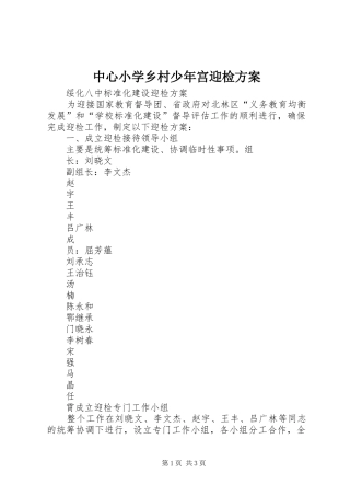 中心小学乡村少年宫迎检实施方案 