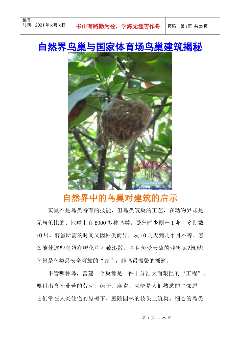 自然鸟巢与国家体育场鸟巢建筑设计揭秘_第1页