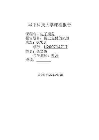 网上支付的风险-课程报告
