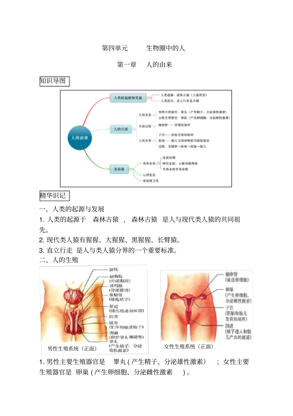 人教版七年级下册生物中考考点精华识记思维导图版_第1页