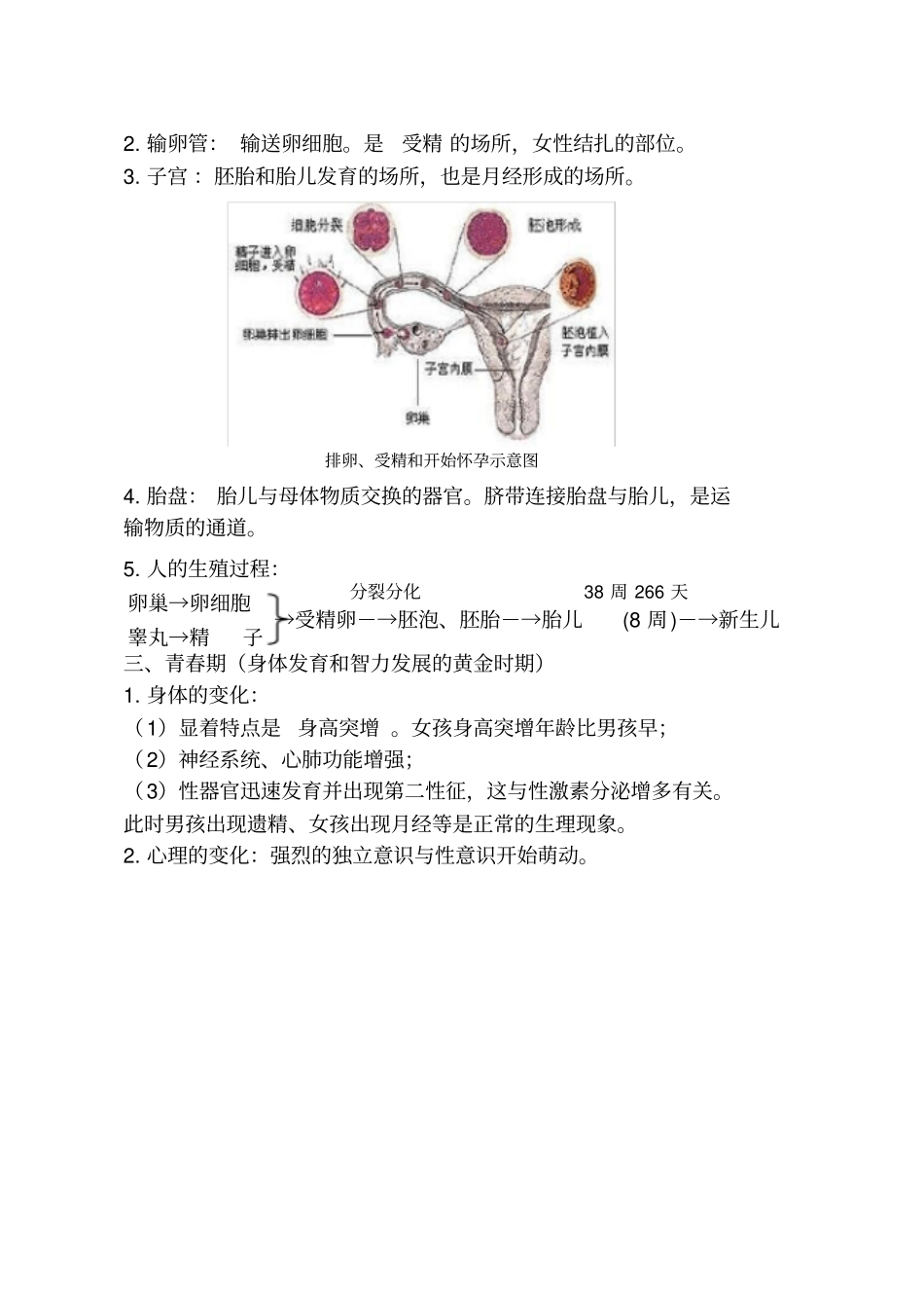 人教版七年级下册生物中考考点精华识记思维导图版_第2页