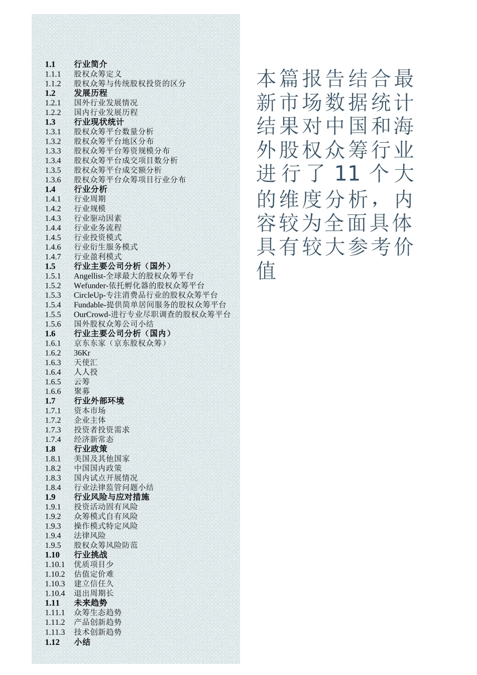股权众筹行业分析XXXX年度深度分析报告_第2页