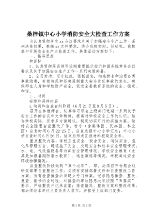 桑梓镇中心小学消防安全大检查工作实施方案 