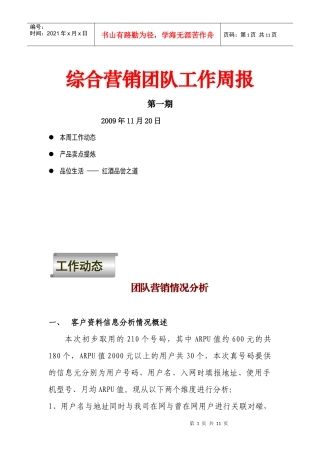 综合营销团队工作周报(第一期)