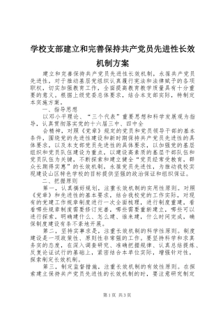 学校支部建立和完善保持共产党员先进性长效机制实施方案 