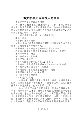 城关中学安全事故应急处理预案 