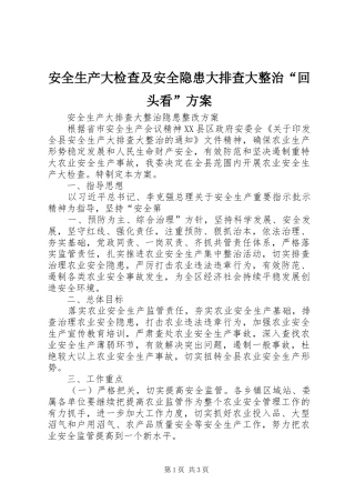 安全生产大检查及安全隐患大排查大整治“回头看”实施方案 
