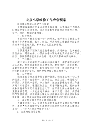 龙泉小学维稳工作应急处理预案 