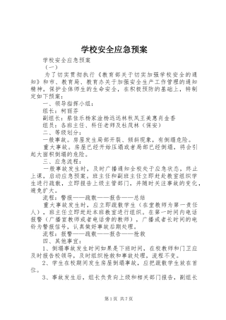 学校安全应急处置预案 (42)