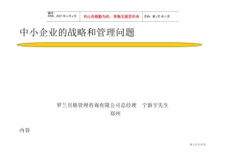 罗兰贝格_中小型企业战略和管理问题研究报告(DOC30页)