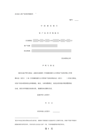 中国建设银行客户信用评级报告共16页